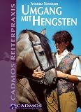 Umgang mit Hengsten