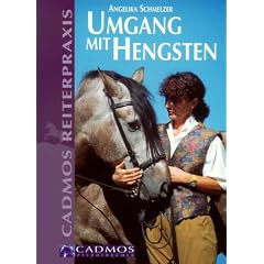 Umgang mit Hengsten