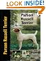 Parson Russell Terrier