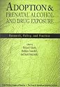 Adoption & Prenatal Alcohol and Drug Exposure: Research, Policy, and Practice