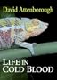 Life in Cold Blood