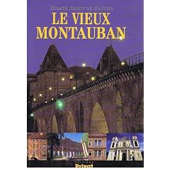 Le Vieux Montauban