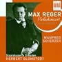 Max Reger: Violin Concerto