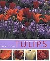 Gardening with Tulips