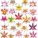 24 edible wafer orchids