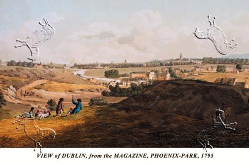 Art Poster, View of Dublin, from the Magazine, Phoenix-Park, 1795 - 27.5 x 18.75