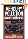Mercury Pollution Integration and Synthesis