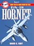 Jane's How to Fly and Fight in the F/A-18 Hornet (Jane's at the Controls)