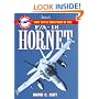 F/A-18 Hornet: How to Fly and Fight (At the Controls , No 2)