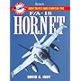How to Fly and Fight in the F/A-18 Hornet: Jane's 'At the Controls' series