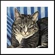 Bootsie by Drew Strouble