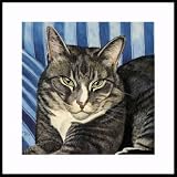 Bootsie by Drew Strouble