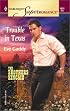 Trouble in Texas: The Brothers Kincaid, Book 1 (Harlequin Superromance, No 1031)