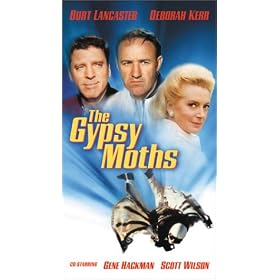 The Gypsy Moths [VHS]