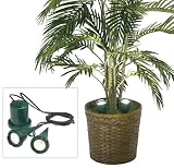 Outdoor Living : LAMPS PLUS Set of Two Indoor Plant Lights