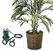 LAMPS PLUS Set of Two Indoor Plant Lights