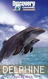 Eigenschaften VCL  / Discovery Channel - Delphine