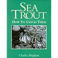 Sea Trout: How to Catch Them