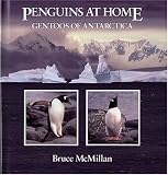 Penguins at Home: Gentoos of Antarctica
