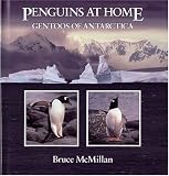 Penguins at Home: Gentoos of Antarctica