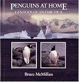 Penguins at Home: Gentoos of Antarctica