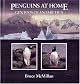 Penguins at Home: Gentoos of Antarctica