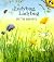 Ladybug, Ladybug (Picture Puffins)