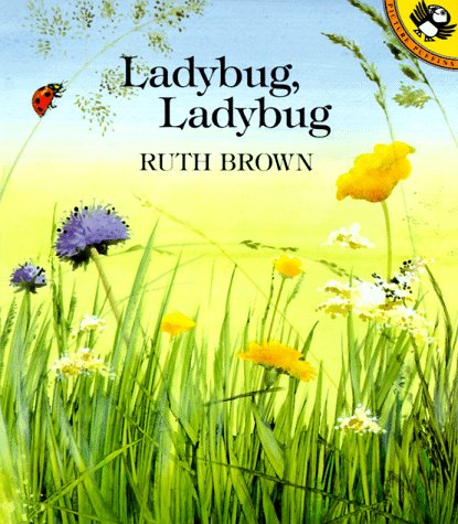 Insects