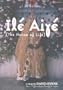 Ile Aiye (The House of Life) - A Film by David Byrne