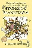 The incredible adventures of Professor Branestawm