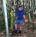 Moso Bamboo 30 Seeds - Phyllostachys pubescens - RARE