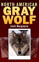 North American Gray Wolf North American Gray Wolf