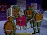 Teenage Mutant Ninja Turtles: The Complete Season 9