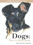 Dogs: How to Draw Them (Pocket Drawing)
