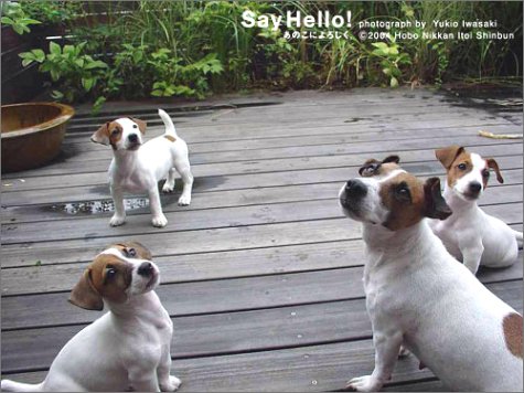 Cover image : Say Hello！ あのこによろしく。 (ほぼ日ブックス)