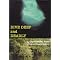 Favorite Mystery Series to Be Read in Sequence