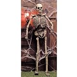 Full Size Skeleton Halloween Prop