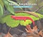 About Amphibians: A Guide for Children (About... (Peachtree Hardcover))