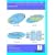 Introduction to GSM: Physical Channels, Logical Channels, Network, and Operation
