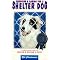 The Best Dog Training Books