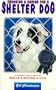 Choosing & Caring for a Shelter Dog: A Complete Guide to Help You Rescue & Rehome a Dog