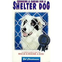 Choosing & Caring for a Shelter Dog: A Complete Guide to Help You Rescue & Rehome a Dog