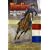 Rimfire: The Barrel Racing Morgan Horse (Morgan Horse series)