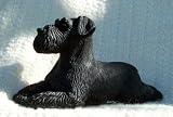 SCHNAUZER Dog Resin Medium BLACK Lays Uncropped ears FIGURINE 336UB