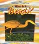 What Is a Bird? (Science of Living Things)