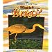 What Is a Bird? (Science of Living Things)