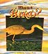 What Is a Bird? (Science of Living Things)