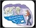 Mouse Pad with man, human, body, zoo, individuals, feeding, individual, persons, ice, humans, polar, people, bear, person