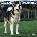 Alaskan Malamutes Wall