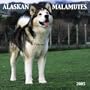 Alaskan Malamutes Wall